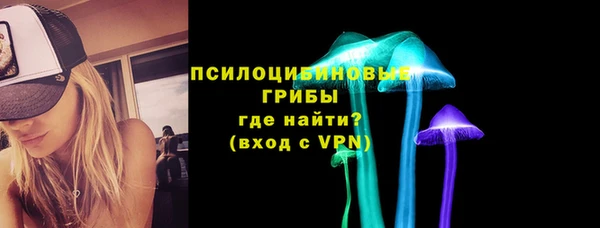 ECSTASY Новозыбков