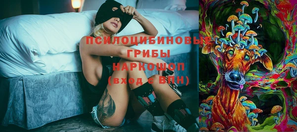 ECSTASY Новозыбков