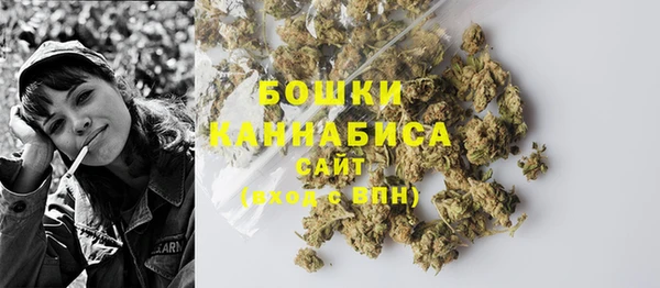 ECSTASY Новозыбков