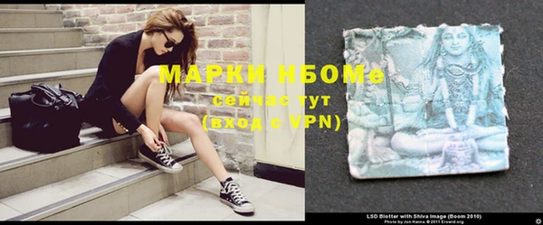 ECSTASY Новозыбков