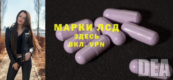 ECSTASY Новозыбков